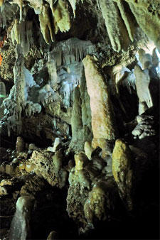 Fun Barbados - Harrison's Cave