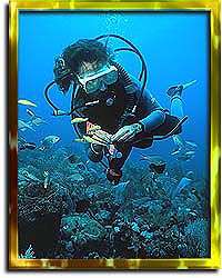 Barbados Scuba Diving