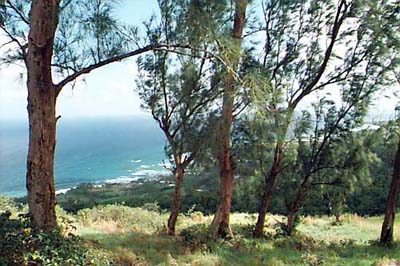 Photo by Geoff Farmer