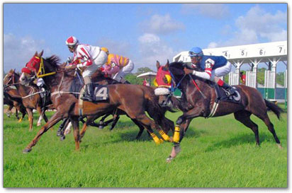 Fun Barbados: Horse Racing in Barbados