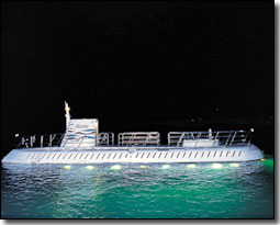 Atlantis Submarine Night Dive